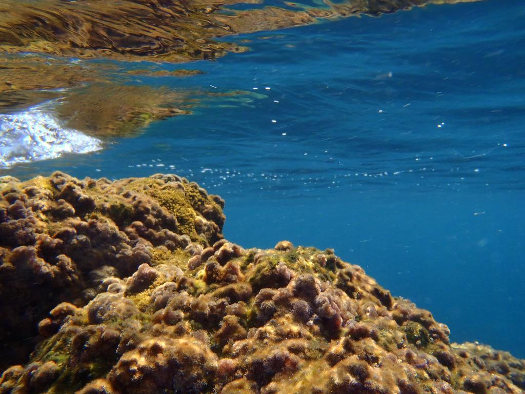 Le Casette Sul Mare Capo Vaticano Eksteriør bilde